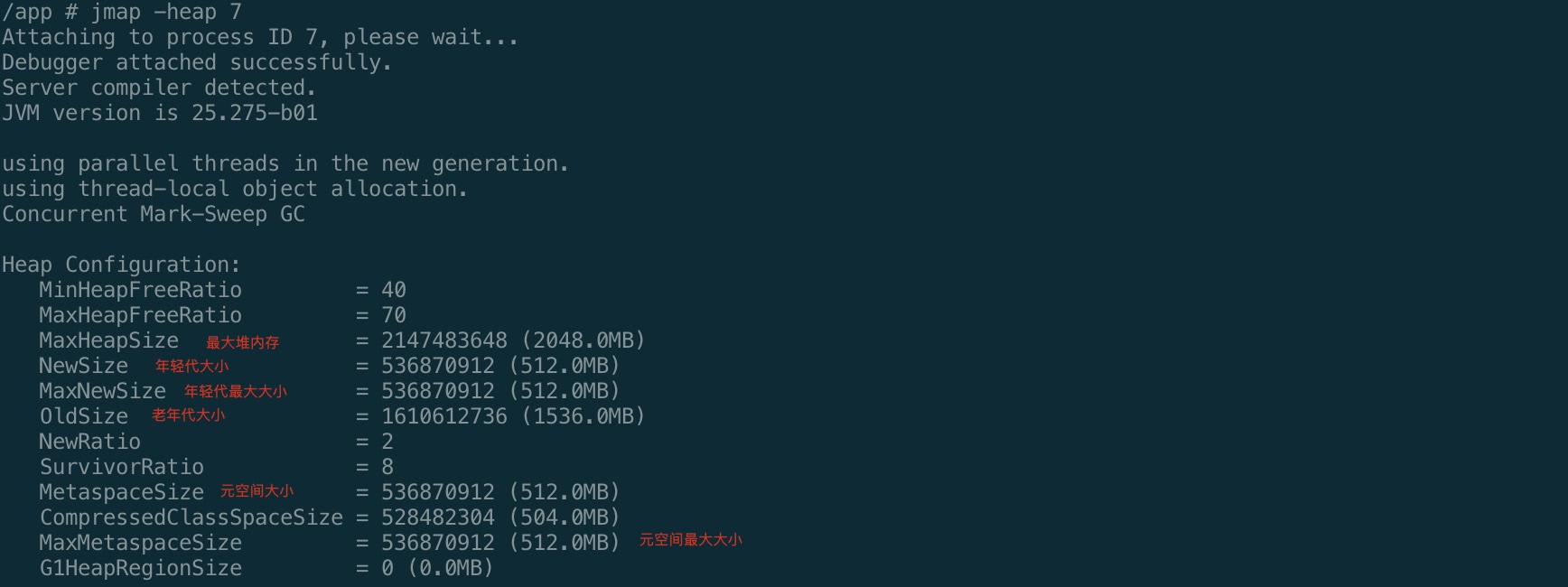 jmap-heap.jpg