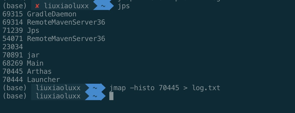 jmap-histo-log.jpg